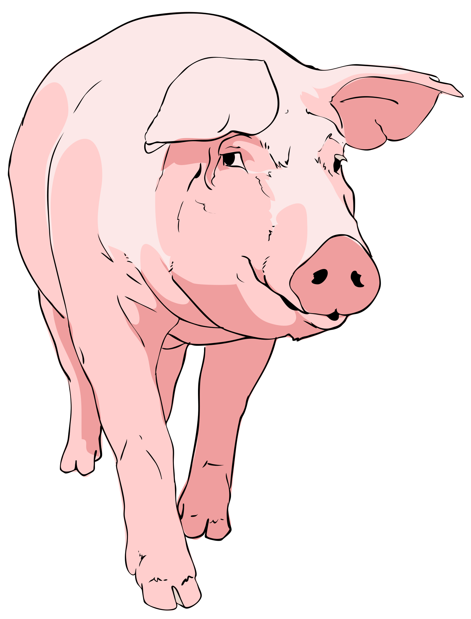 Detail Piggy Clipart Nomer 22