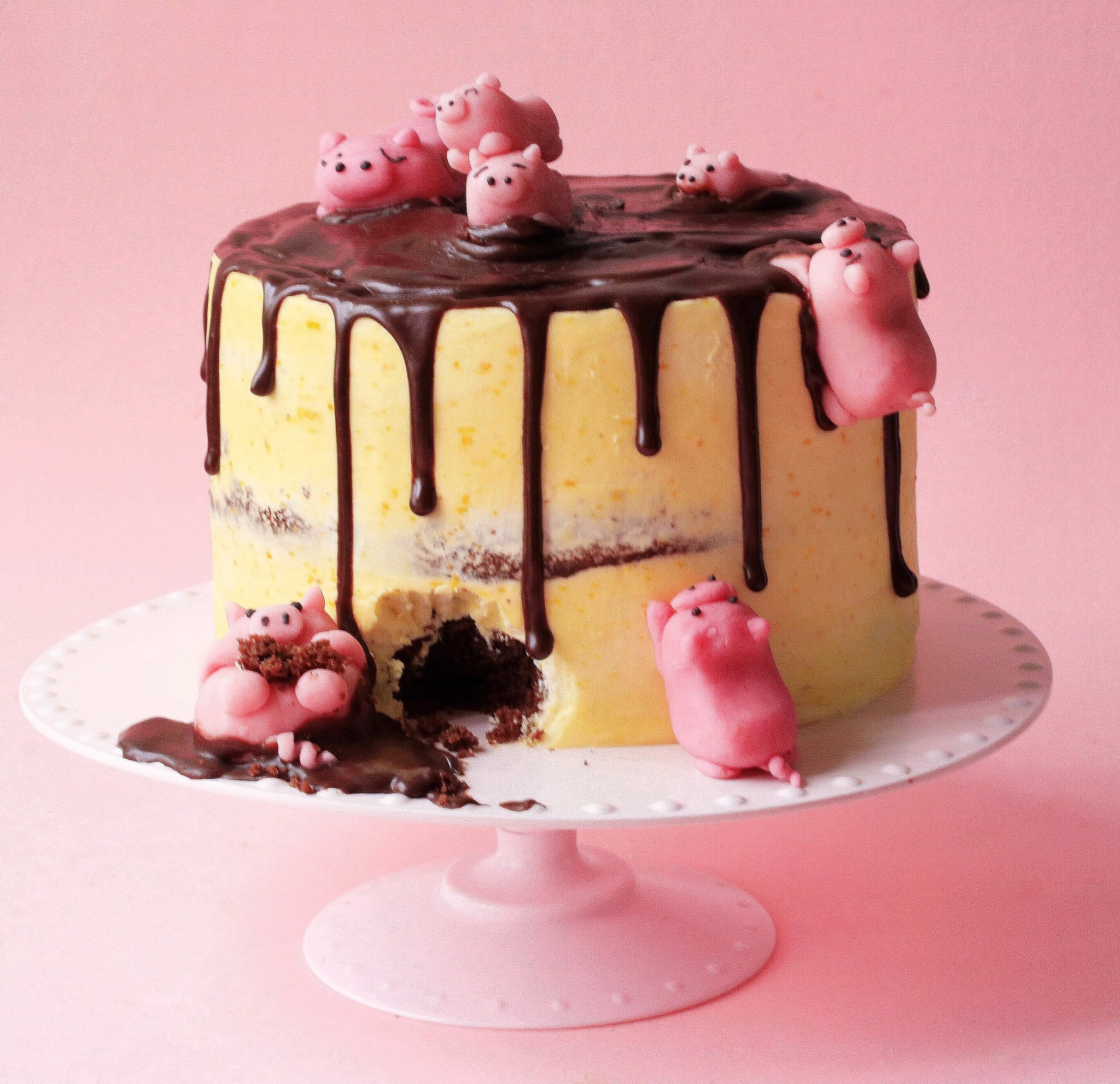 Detail Piggy In The Mud Cake Nomer 50