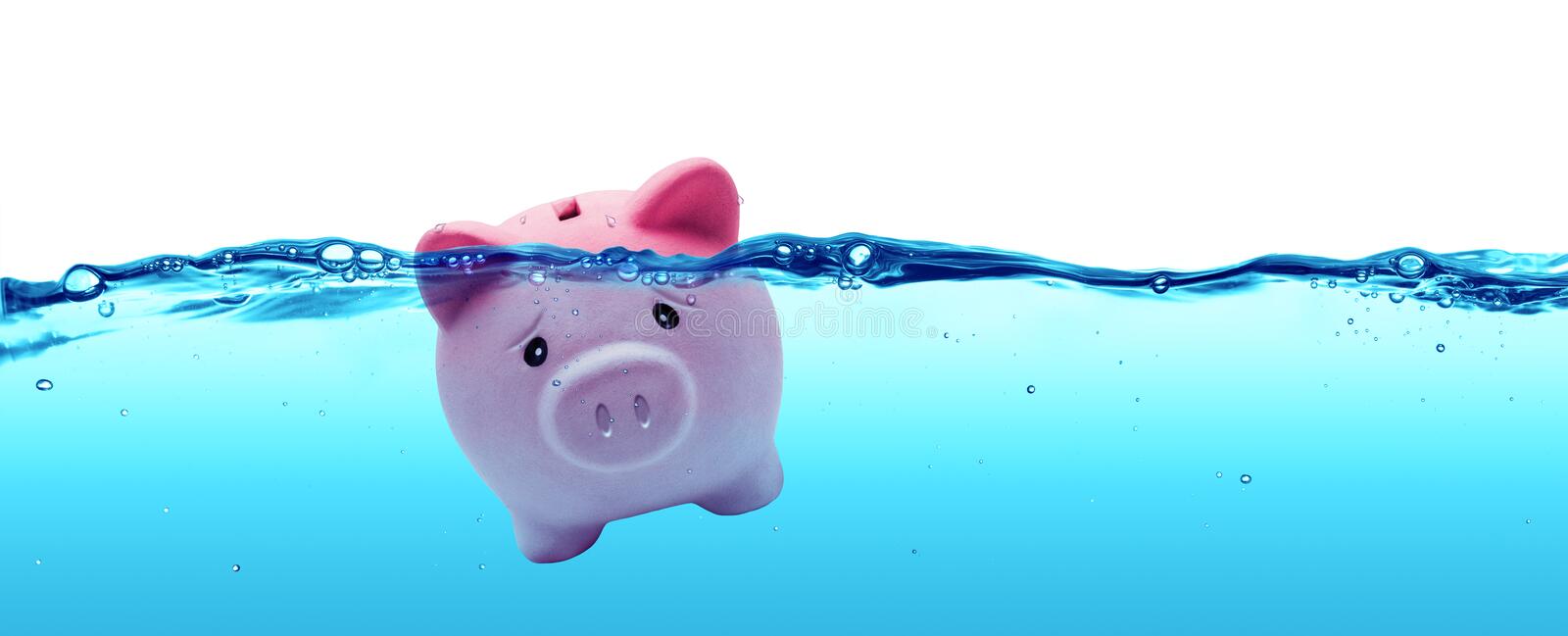 Detail Piggy Pic Nomer 34