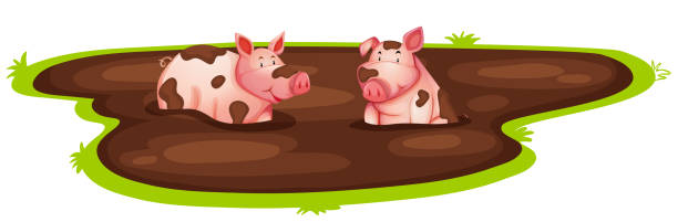 Detail Pigs In Mud Clipart Nomer 9