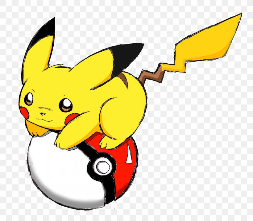 Detail Pikachu With Ball Nomer 13
