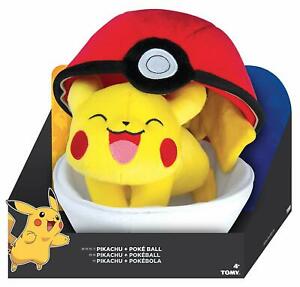 Detail Pikachu With Ball Nomer 28