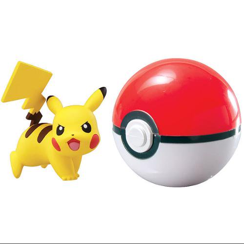 Detail Pikachu With Ball Nomer 5
