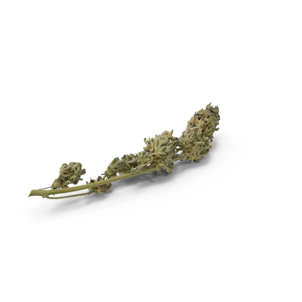 Detail Pile Of Weed Png Nomer 48