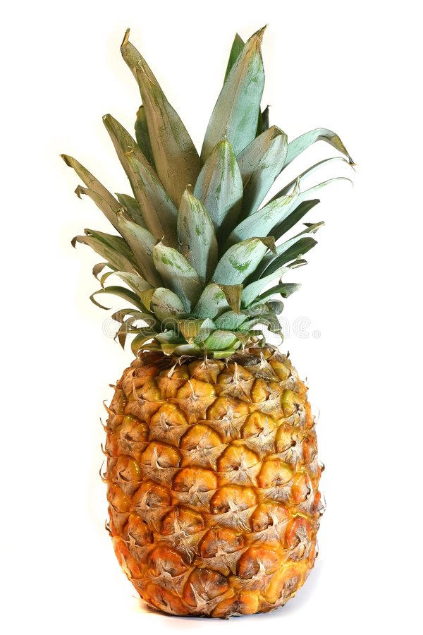 Detail Pinapple Image Nomer 7