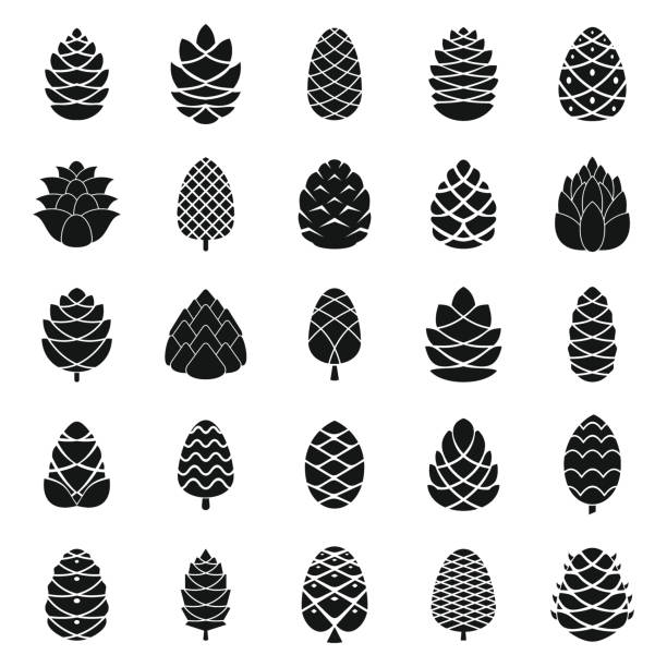 Detail Pine Cone Clip Art Nomer 6