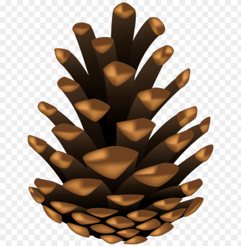 Detail Pine Cone Clip Art Nomer 12