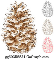 Detail Pine Cone Clip Art Nomer 35