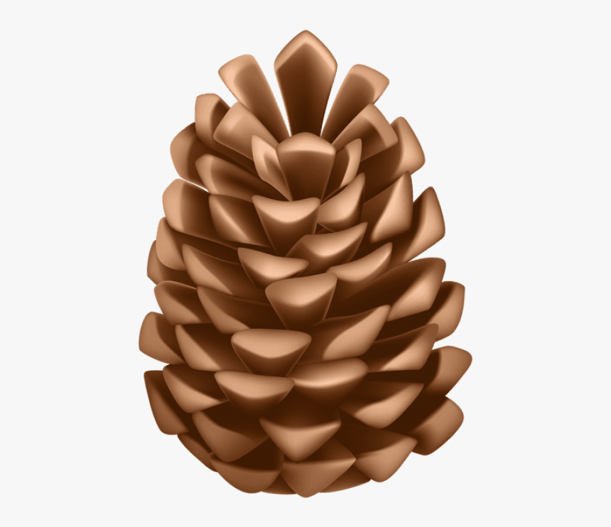 Detail Pine Cone Clip Art Nomer 4