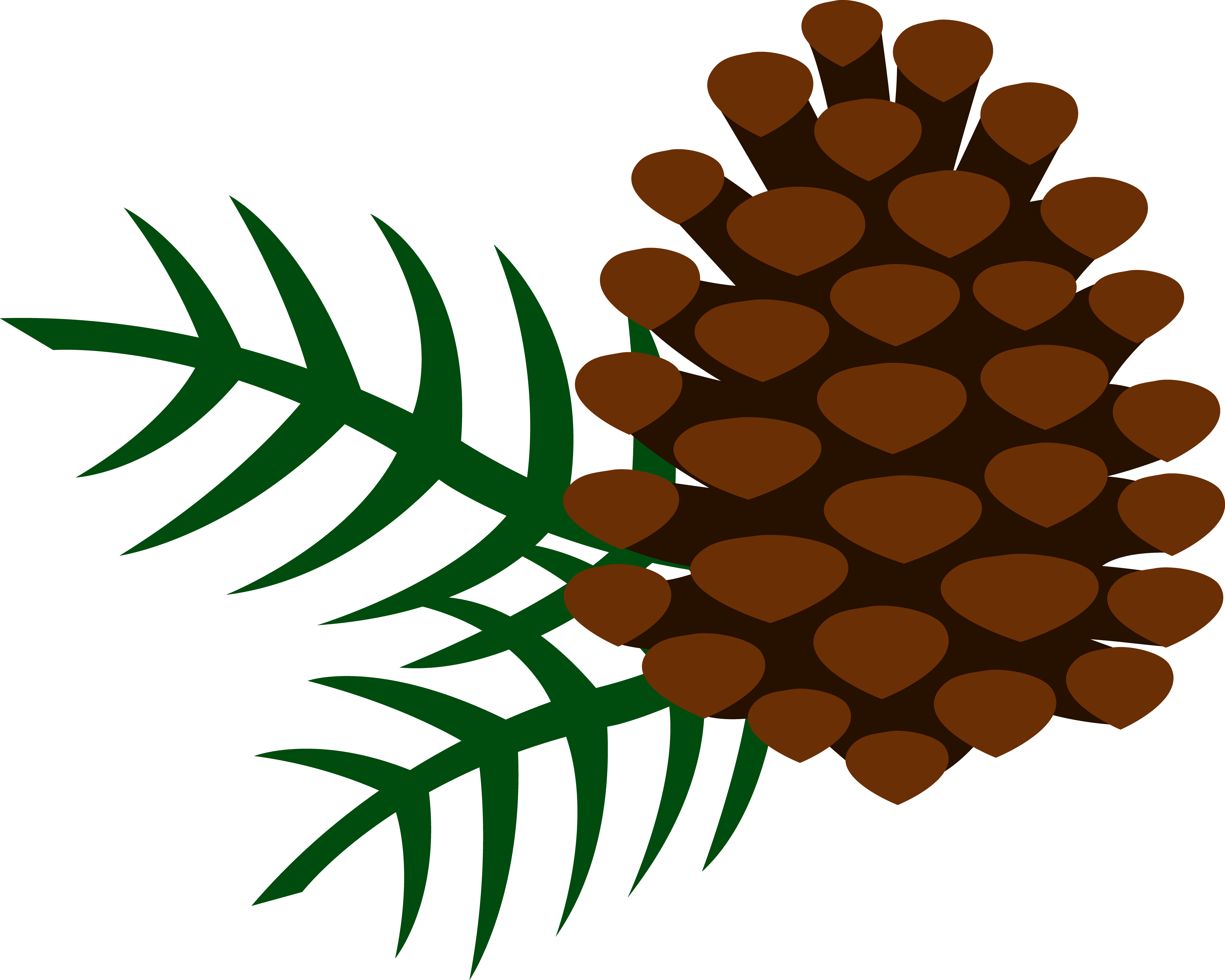 Detail Pine Cone Clipart Nomer 2