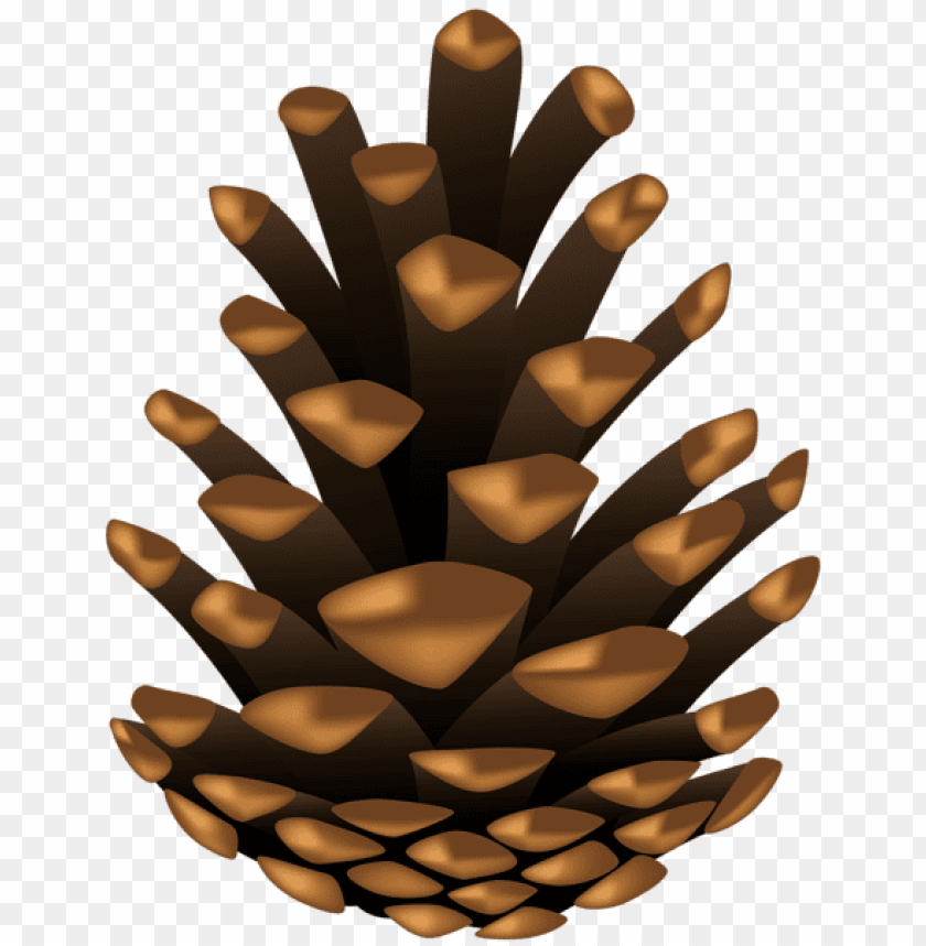Detail Pine Cone Clipart Nomer 7