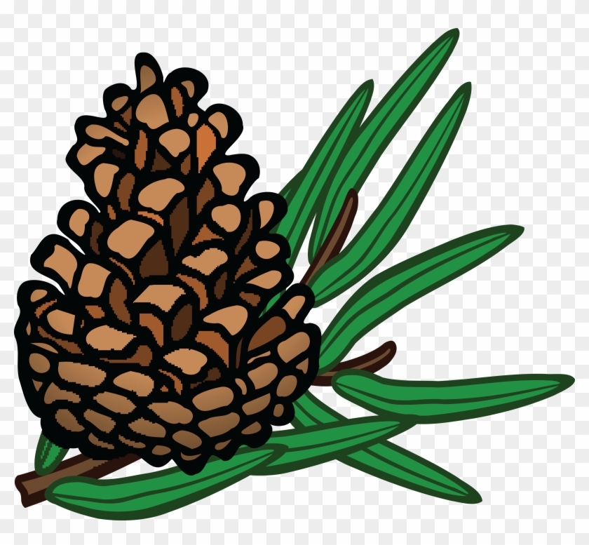 Detail Pine Cone Clipart Nomer 14