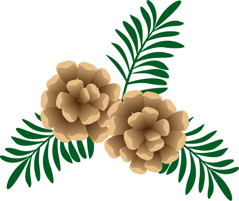 Detail Pine Cone Clipart Nomer 25