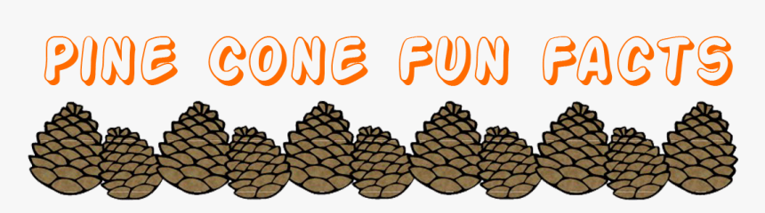 Detail Pine Cone Clipart Nomer 27