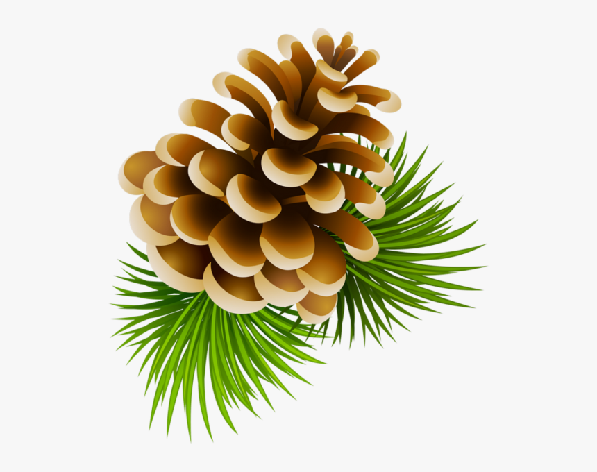 Detail Pine Cone Clipart Nomer 4