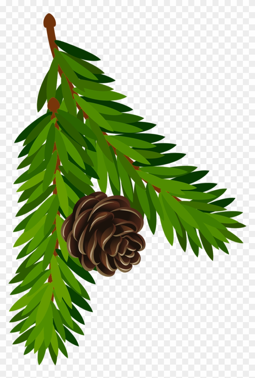 Detail Pine Cone Clipart Nomer 30