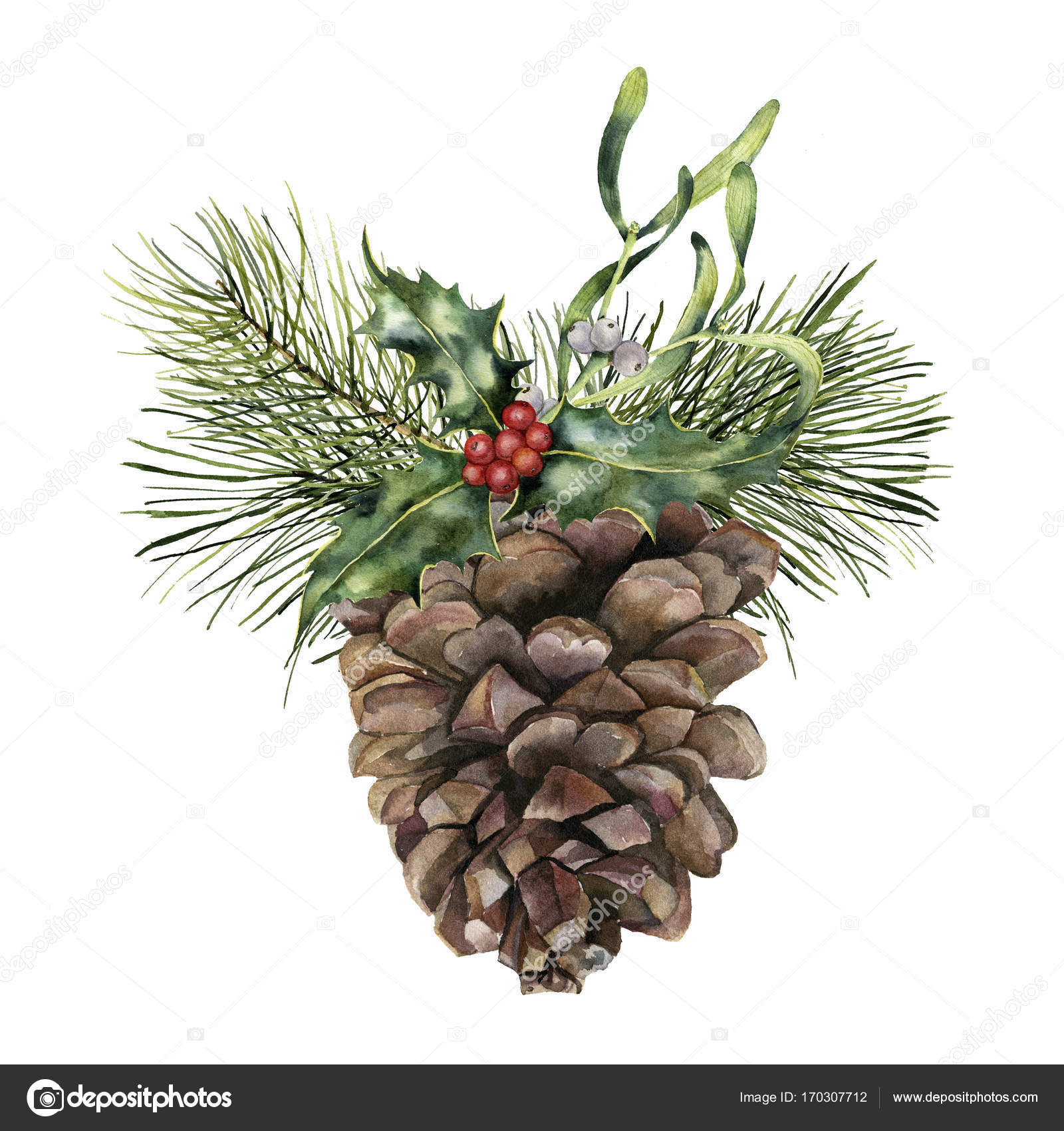 Detail Pine Cone Clipart Nomer 40