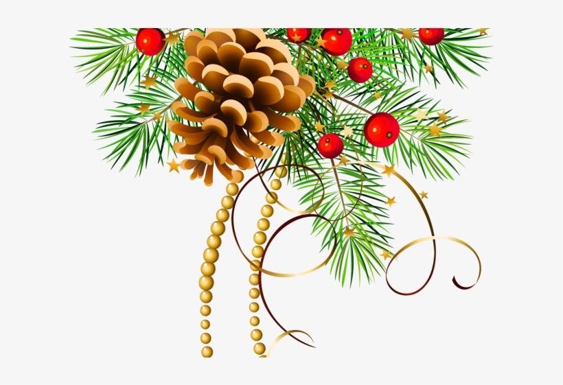 Detail Pine Cone Clipart Nomer 43