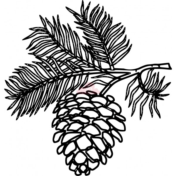 Detail Pine Cone Clipart Black And White Nomer 2