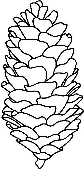 Detail Pine Cone Clipart Black And White Nomer 8