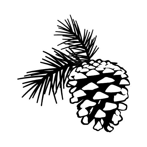 Detail Pine Cone Clipart Black And White Nomer 12