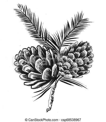 Detail Pine Cone Clipart Black And White Nomer 23