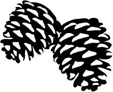 Detail Pine Cone Clipart Black And White Nomer 29