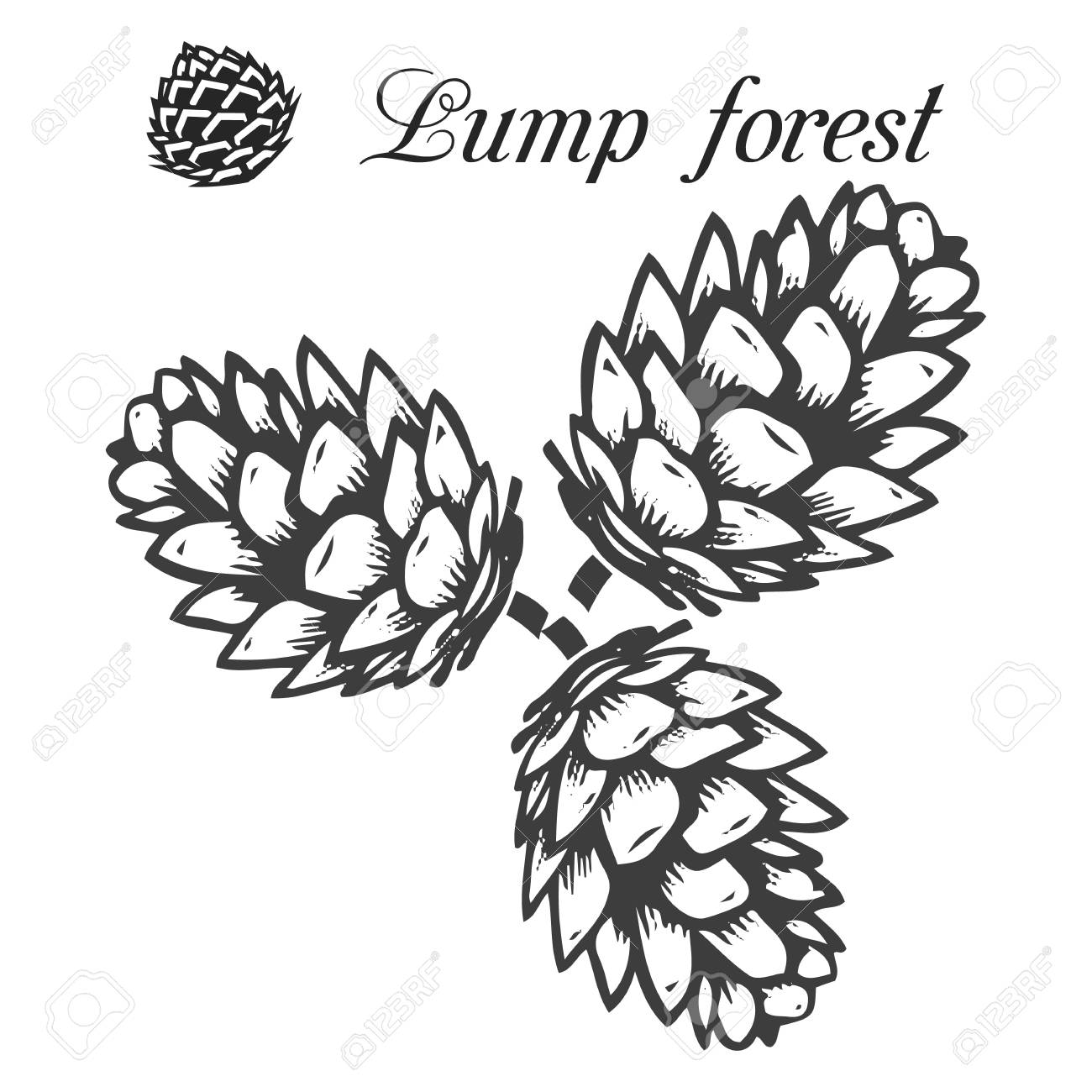 Detail Pine Cone Clipart Black And White Nomer 41