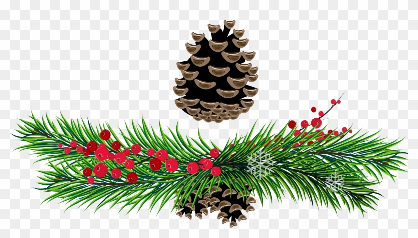 Detail Pine Cone Clipart Free Nomer 13