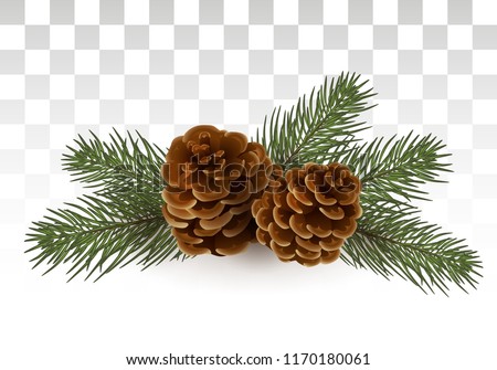 Detail Pine Cone Clipart Free Nomer 14