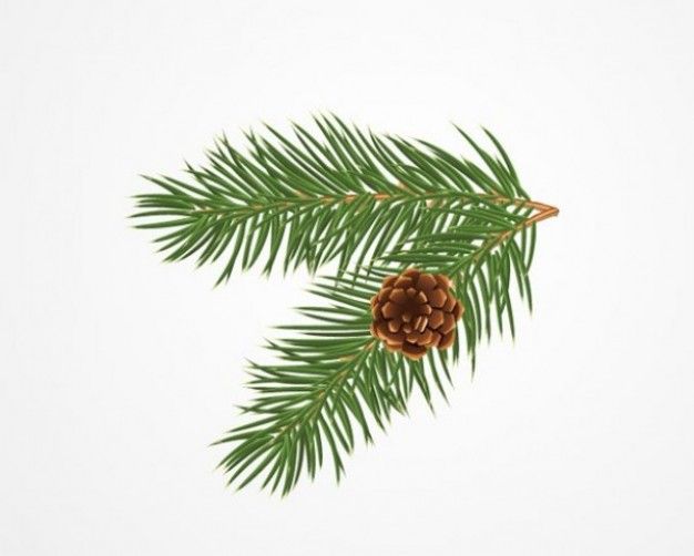 Detail Pine Cone Clipart Free Nomer 18