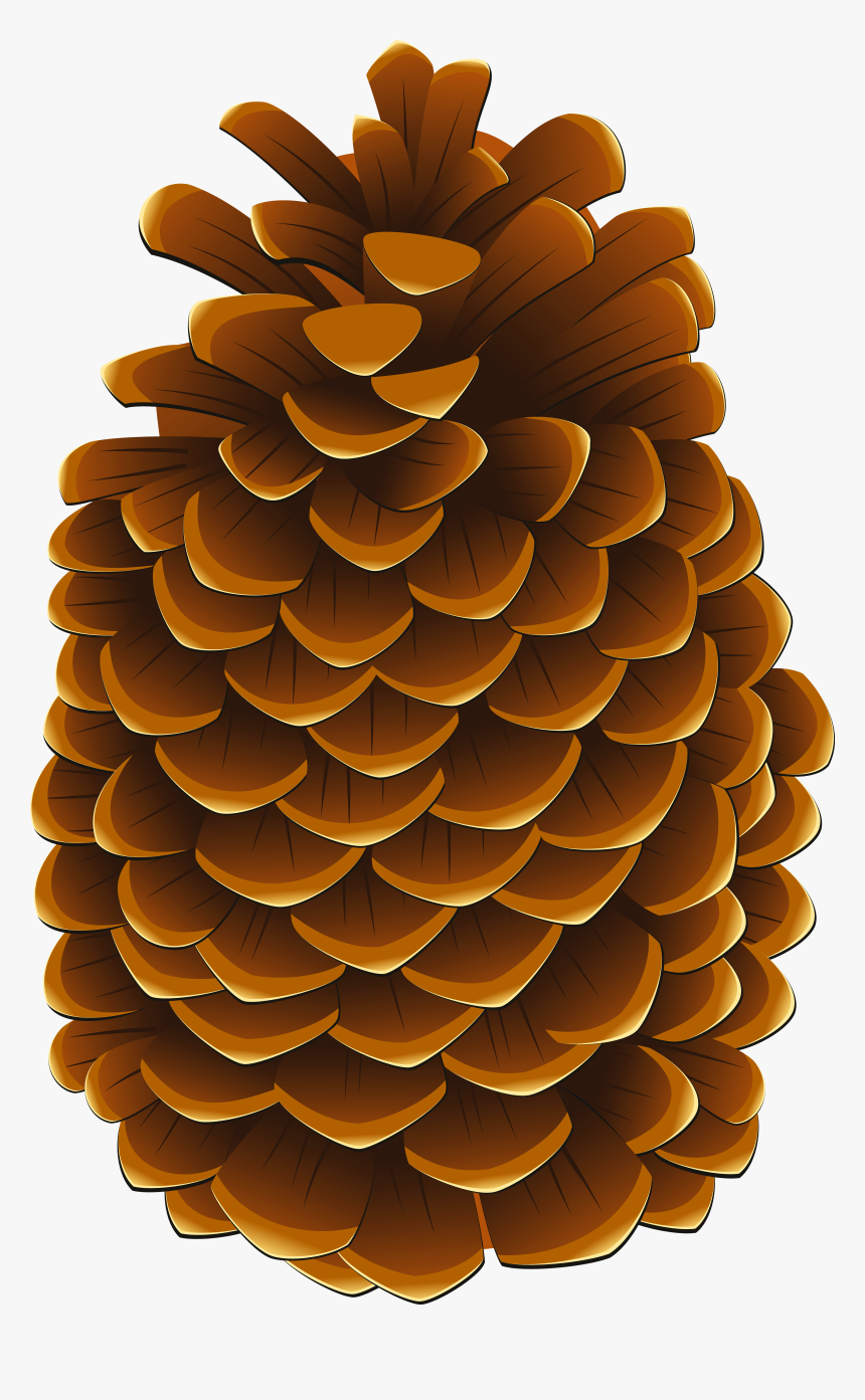 Detail Pine Cone Clipart Free Nomer 24