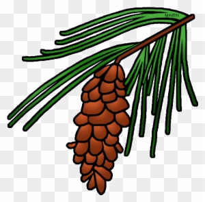 Detail Pine Cone Clipart Free Nomer 31