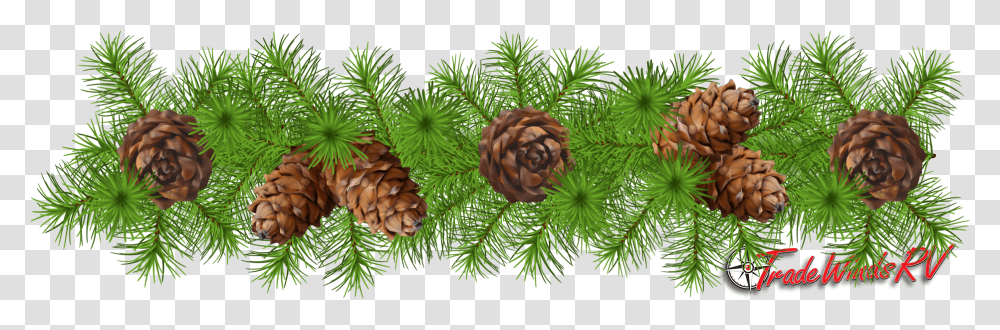 Detail Pine Cone Clipart Free Nomer 38