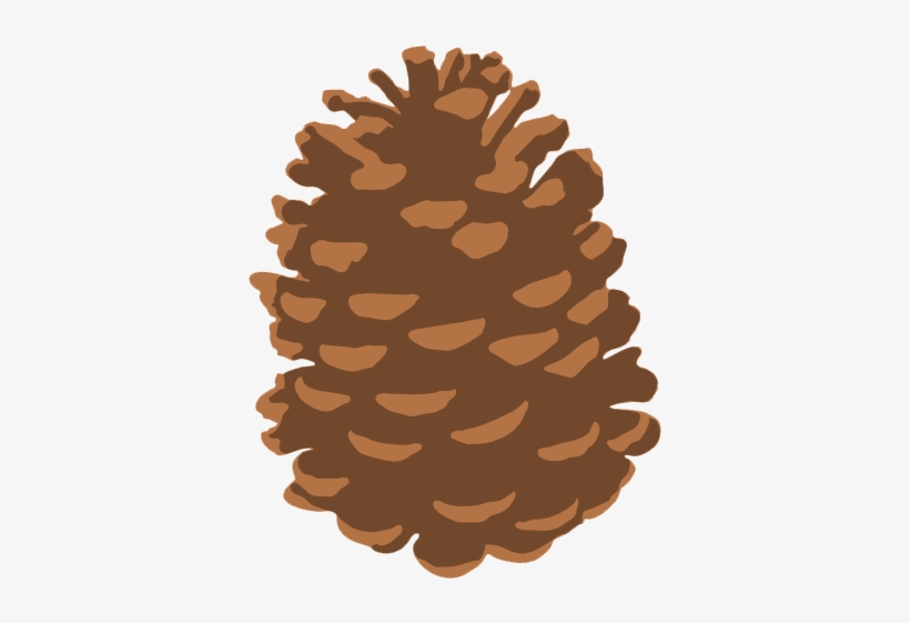 Detail Pine Cone Images Free Nomer 26