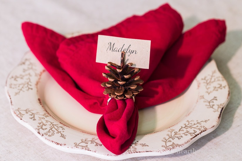 Detail Pine Cone Napkin Rings Nomer 13
