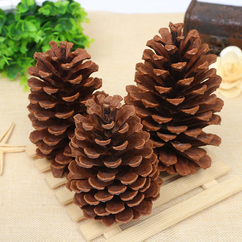 Detail Pine Cone Roller Nomer 40
