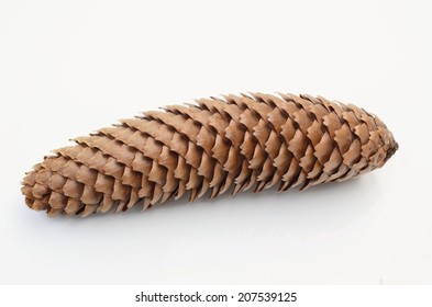 Detail Pine Cone Roller Nomer 42