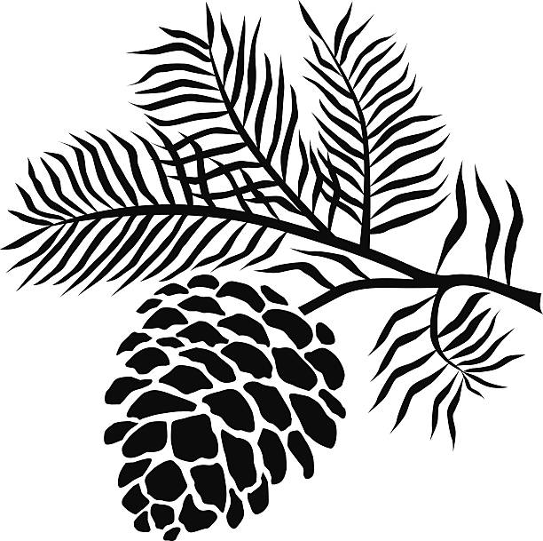 Pine Cone Silhouette Clip Art - KibrisPDR