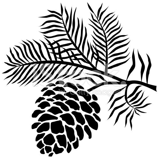 Detail Pine Cone Silhouette Clip Art Nomer 2