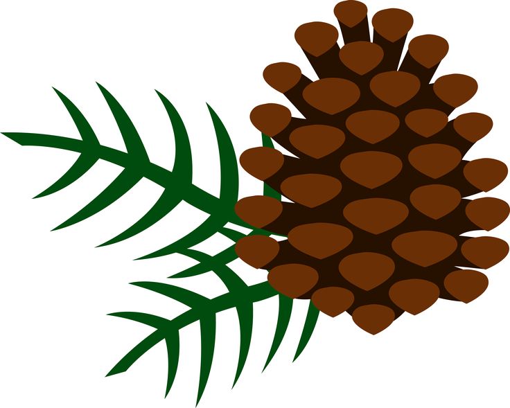 Detail Pine Cone Silhouette Clip Art Nomer 24