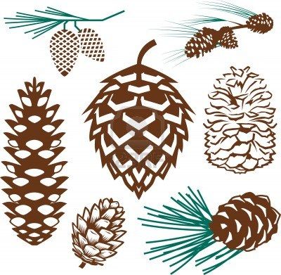 Detail Pine Cone Silhouette Clip Art Nomer 36