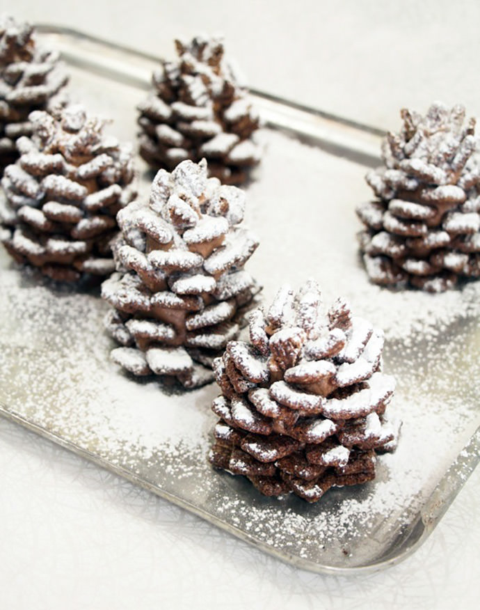 Detail Pine Cones Images Nomer 37