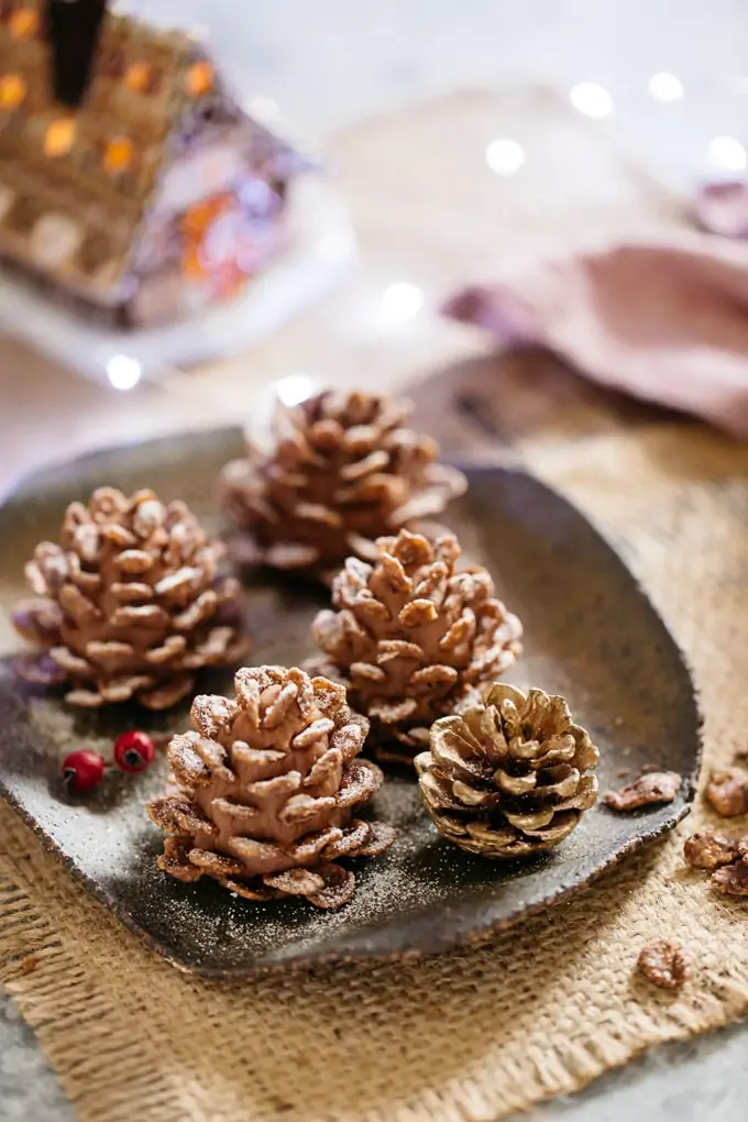 Detail Pine Cones Images Nomer 47