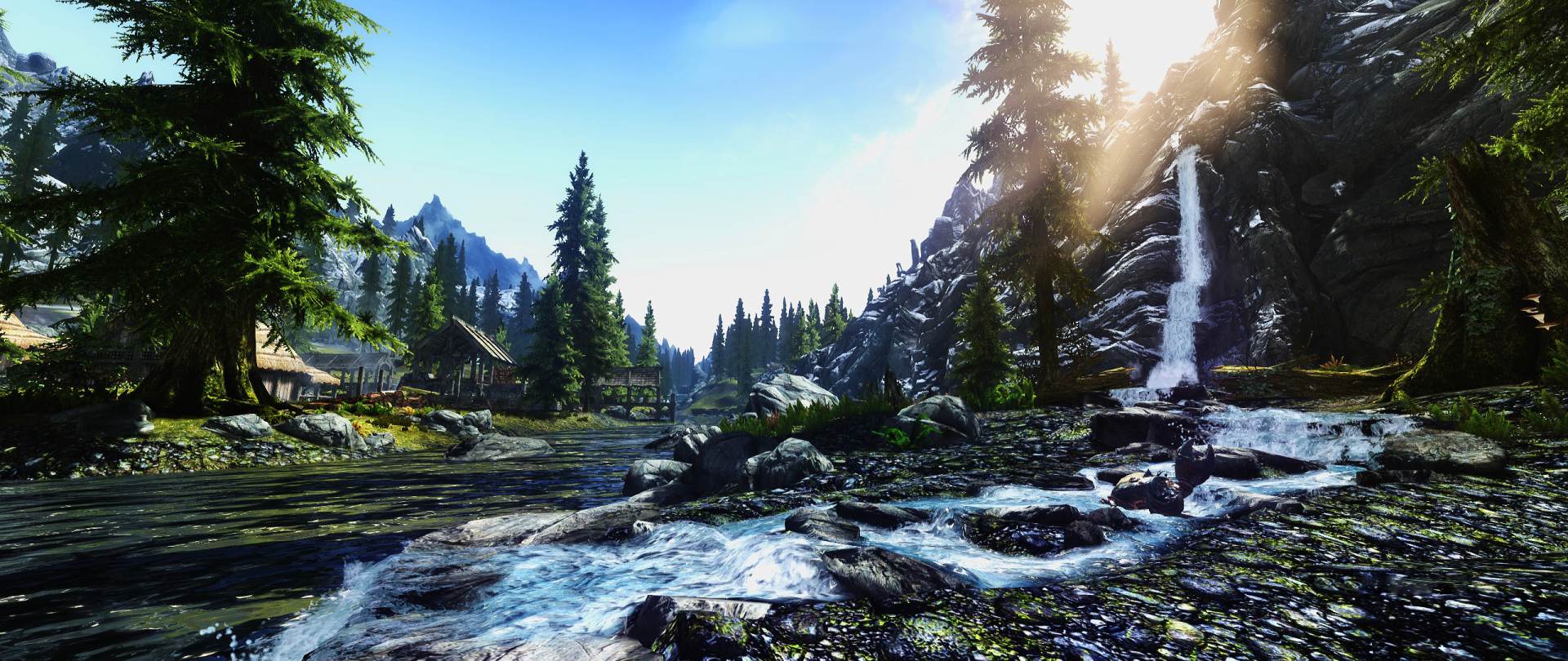 Detail Pine Forest Wallpaper Nomer 24