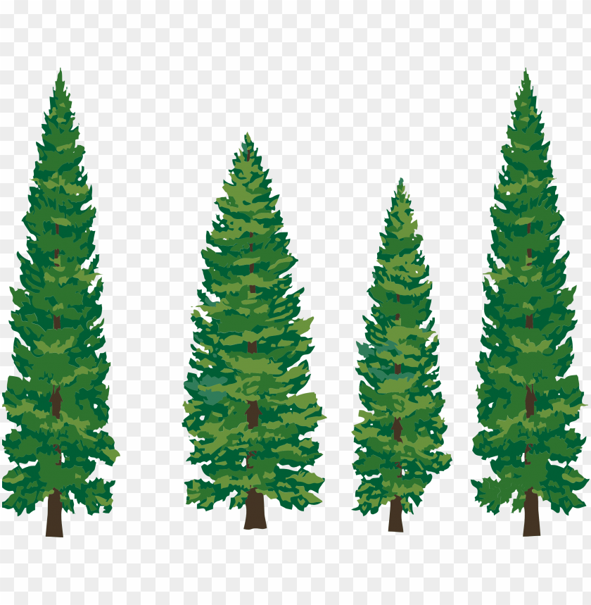 Detail Pine Png Nomer 20