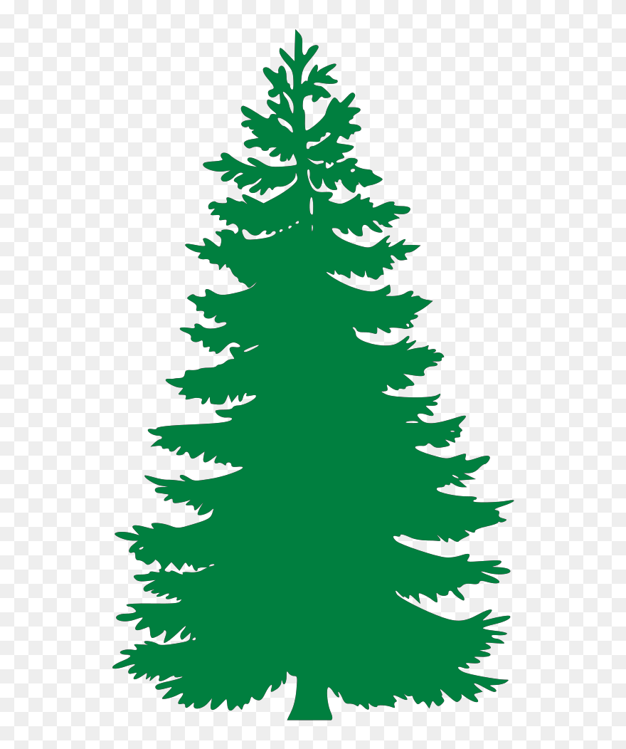 Detail Pine Png Nomer 24