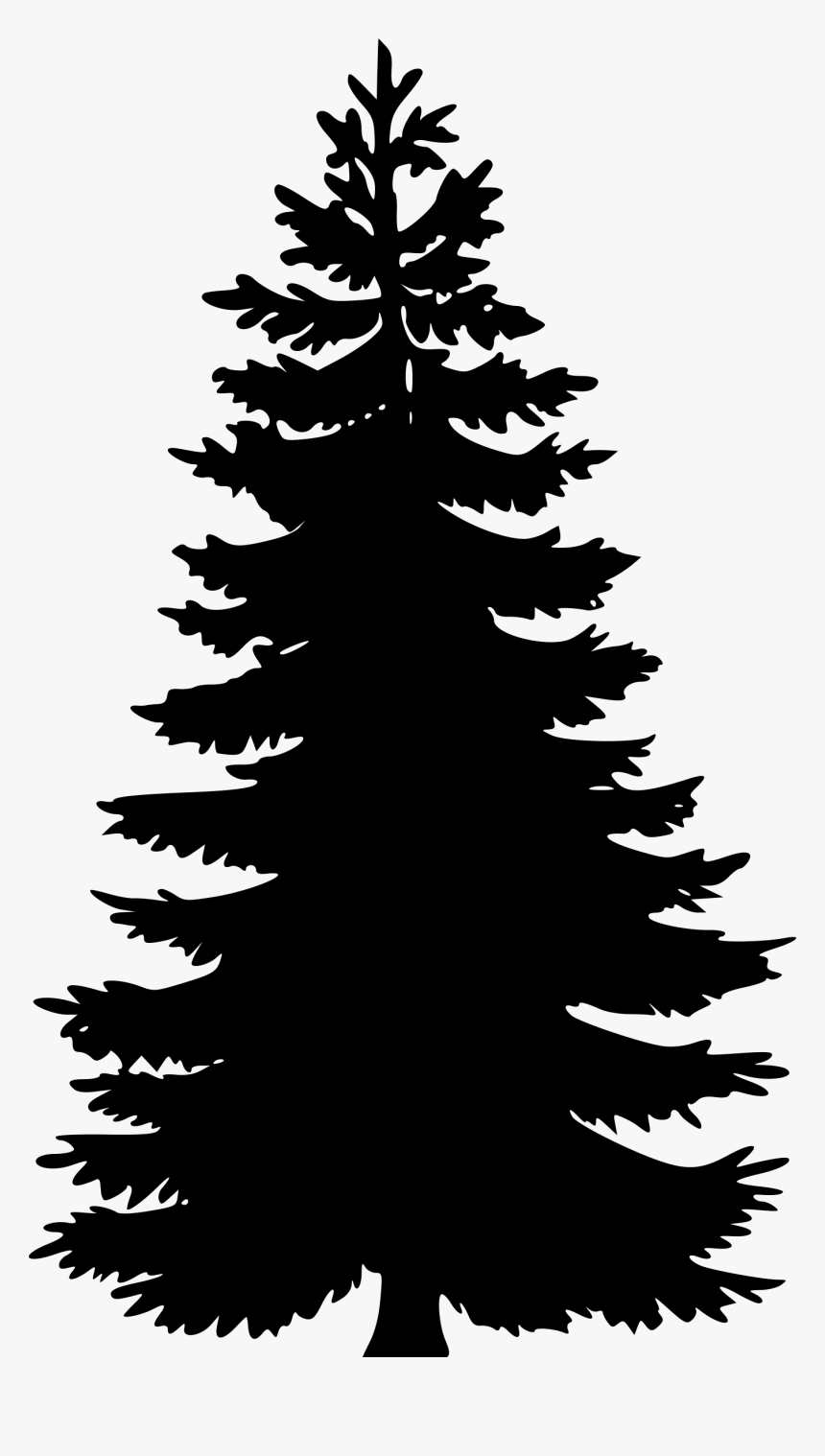 Detail Pine Png Nomer 28
