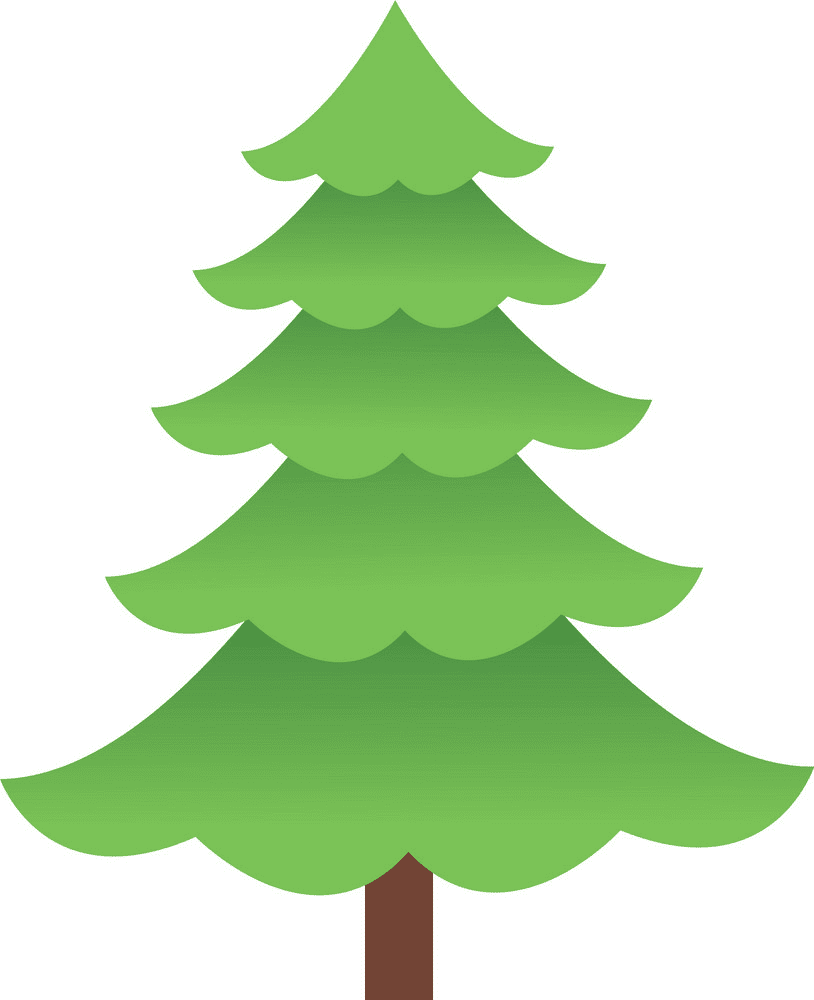 Detail Pine Png Nomer 29