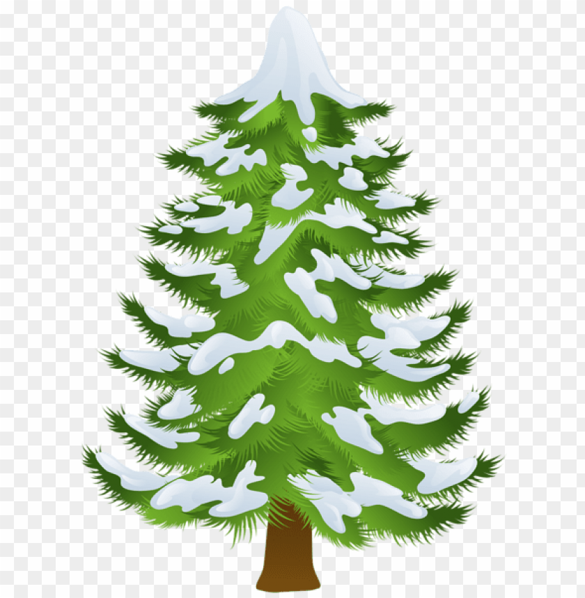 Detail Pine Png Nomer 30